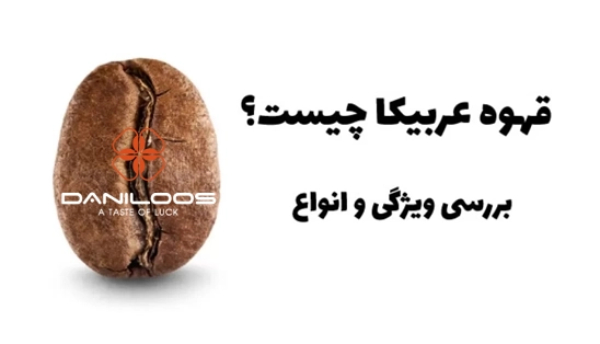 2.webp